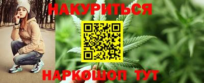 крисы Коммунар