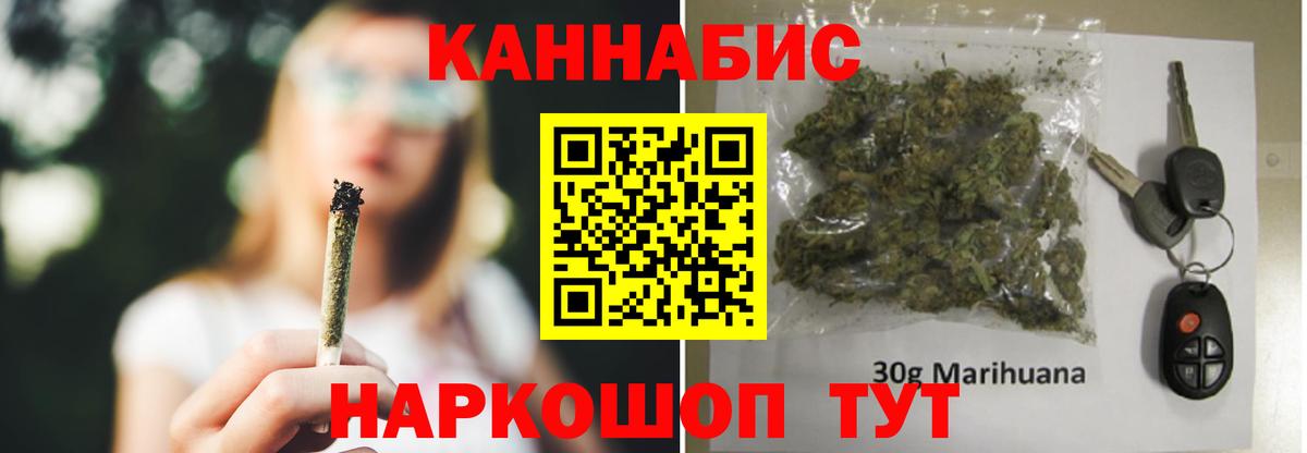 Шишки марихуана планчик Кингисепп